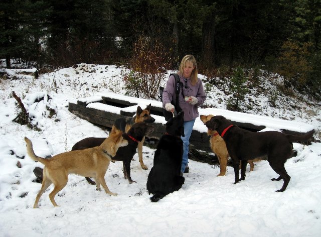 Doggie day care bozeman mt Milpitas, CA — Humane Society Silicon Valley Humane Society Silicon Valley (HSSV) is an independent, nonprofit organization offering high-quality adoptions, medical services, education programs and pet care services to enhance the human-animal bond.